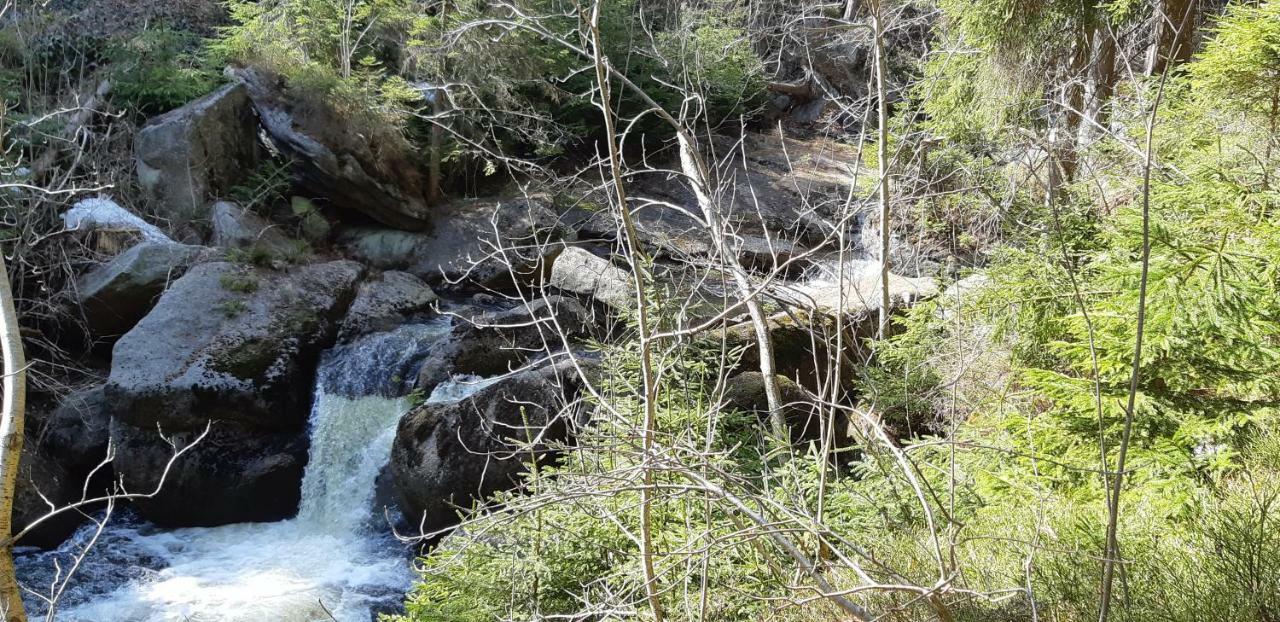 Chata Na Sousi Desna  Exterior photo